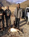 2 Yavrulu Dağ Keçisini Vuran 2 Avcıya 18 Bin Lira Ceza