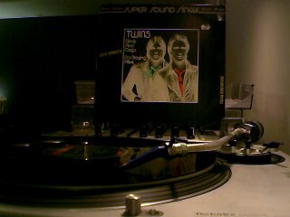 Twins - Birds and Dogs 12" [Long Version]