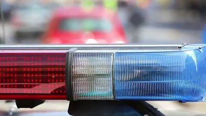 10 Fast And Furious Kid Drivers (1)