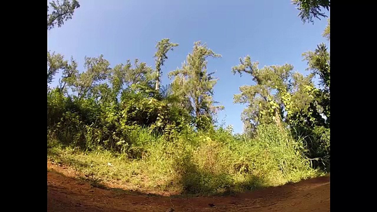 ride bassin plat 974