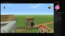 Mincraft video-4 (5)