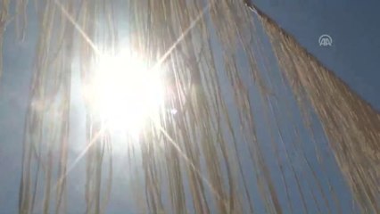 Kadınların Ellerinden Sofraya Uzanan Lezzet