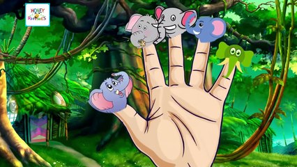 Elephant Finger Family Cartoon Songs HD | Animal Finger Family Children Animation Nursery Rhymes