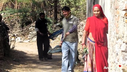 Dog rescued strangling on embedded wire saved