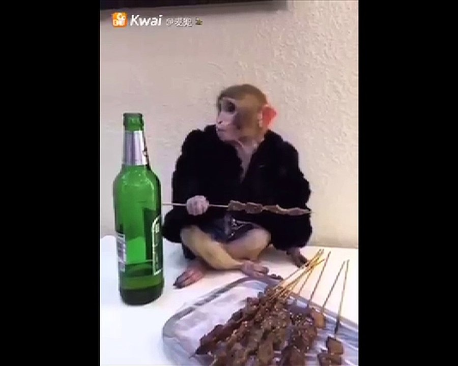 Khana mile ga monkey special party song