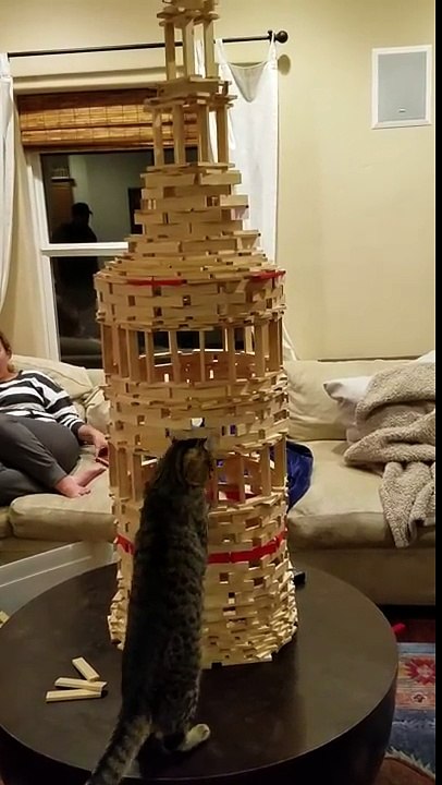 Funny Cat Fail - UK