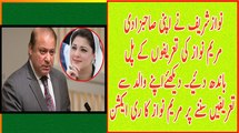 Maryam Nawaz Sharif worked hard for Health card program-Nawaz Sharif