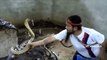 Man Selecting Cobras For Snake Show - Countless Snakes for Circus - AR Entertainments