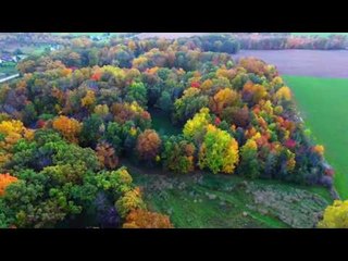 Drone Captures Autumn Leaves Changing Color