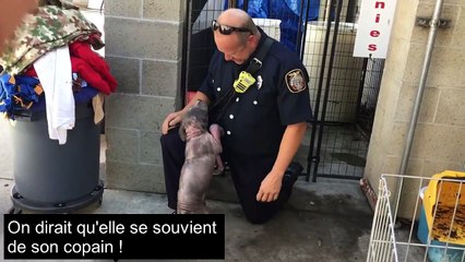 Le chiot était triste et désespéré dans un refuge, mais sa réaction quand il voit le pompier qui l'a sauvé la vie est émouvante !