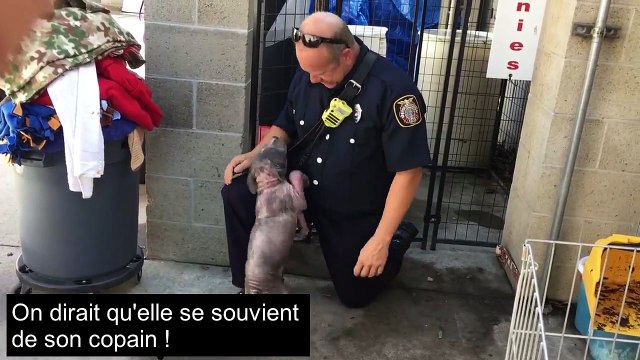Le chiot était triste et désespéré dans un refuge, mais sa réaction quand il voit le pompier qui l'a sauvé la vie est émouvante !