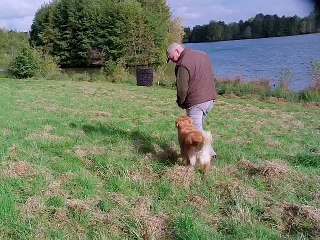 tolling et matking a l'eau certificat