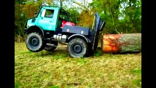 Forestry equipment working, amazing tree cutting machine, new modern agriculture technology