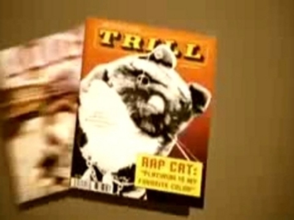 Rapcat - Meow Meow (le chat ganster - clip)