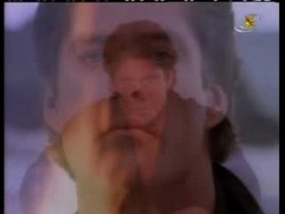 David Hasselhoff - Wings Of Tenderness