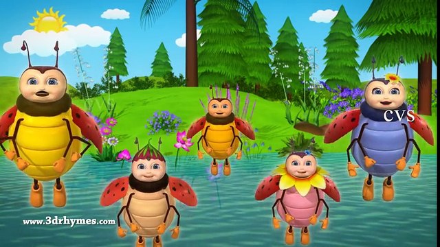 Rabbit and Bugs Finger Family Rhymes Animals Finger Family song Nursery Rhymes & Songs