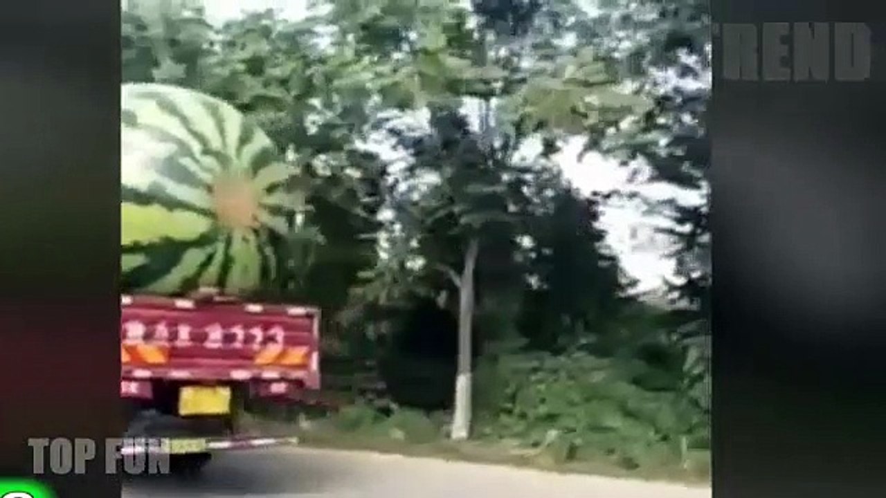 23 - New Funny videos 2016 - Best Whatsapp Indian Funny Videos 2016
