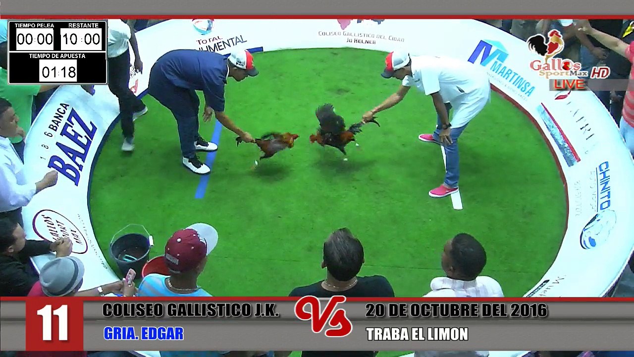 TRABA EL LIMON VS GRIA. EDGAR