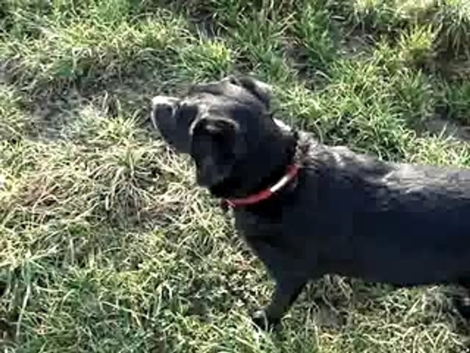 MOV01803