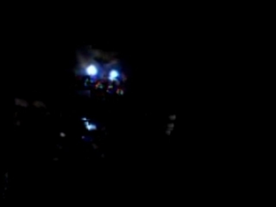 dominique dupuy au festival Interceltique