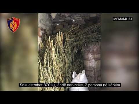 Report TV - Memaliaj, sekuestrohet 370 kg kanabis, në kërkim 2 poseduesit