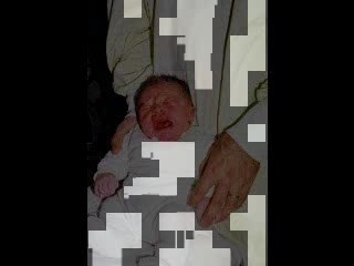 Paul de la naissance à août 2004