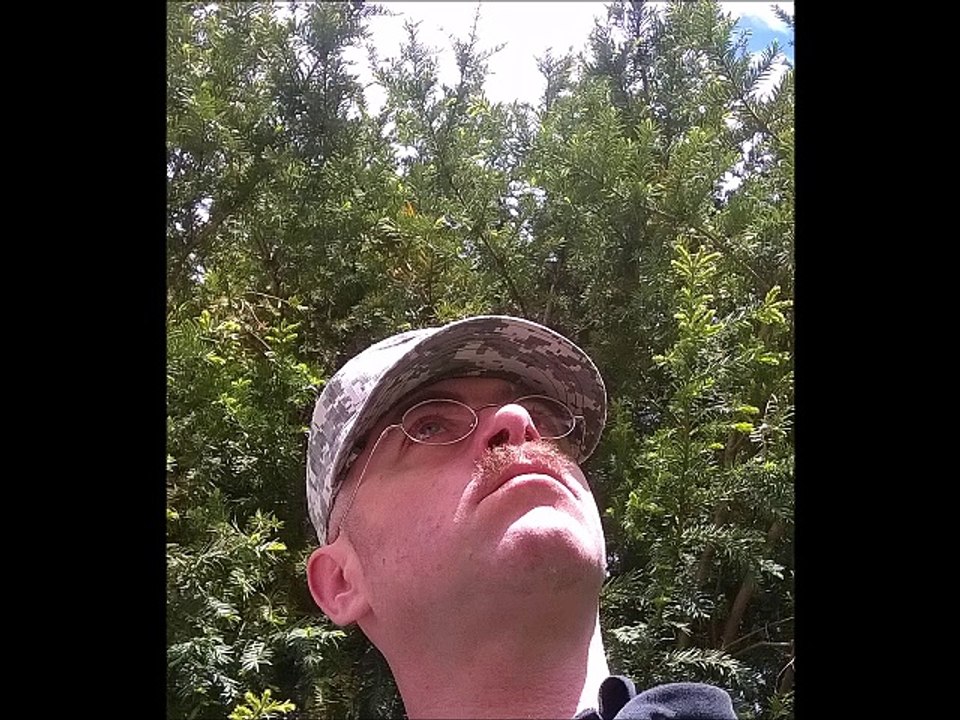 NIHILTRONIX - Die when i die (GG Allin)