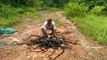 Crazy Moment Snake catcher releases Hundreds of Rat Snakes, Cobras and Vipers into forest - YouTube
