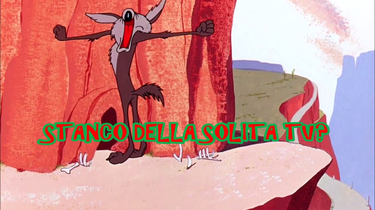 Warner Show con Bugs Bunny & Looney Tunes - Dal 29 Ottobre su Dailymotion