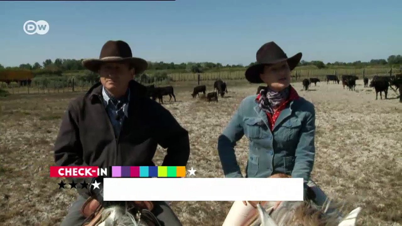 Die camargue in südfrankreich | check-in