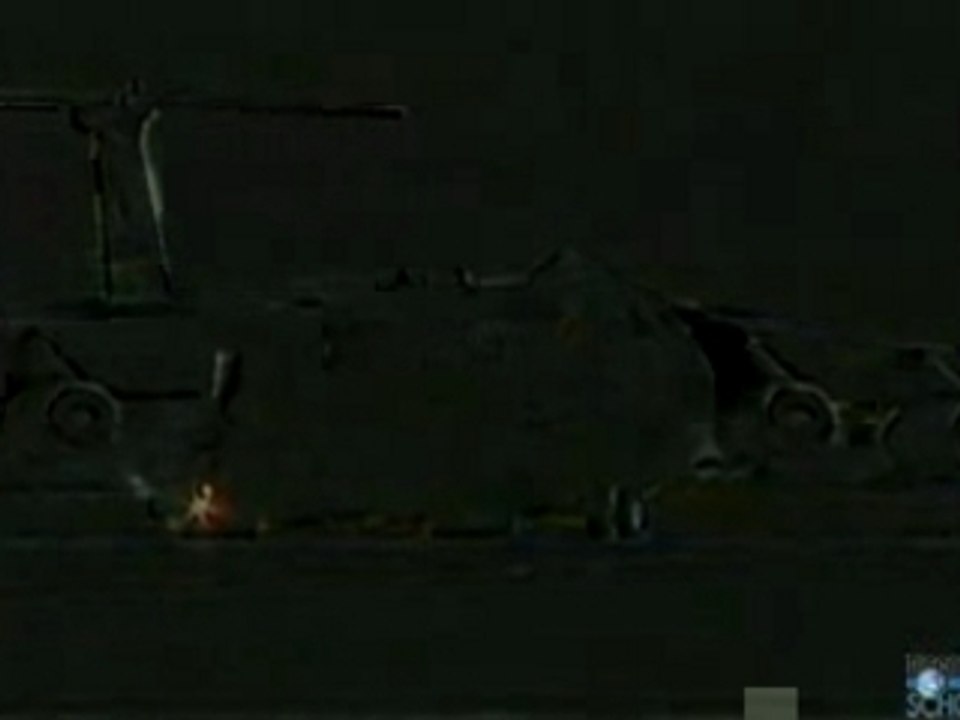 Understanding Viruses 1/17