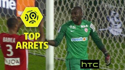 Top arrêts 10ème journée - Ligue 1 / 2016-17