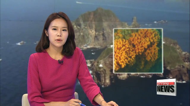 Largest colony of endangered coral in Korea discovered in Dokdo