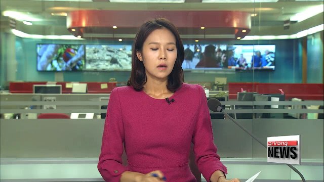 U.S. plays down unofficial meeting between former officials and N. Korean diplomats