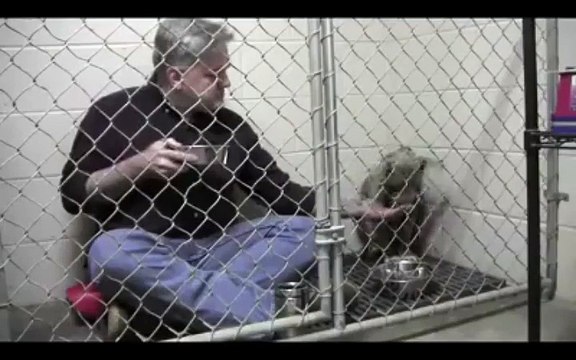 Veterinarian eats meal with dog bowl to convince starving, scared, rescue pup to do the same.