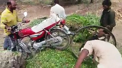 OX Power Grass Cutting Machine In Pakistan