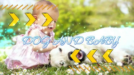 Pug Dog Loves Baby They Share Funny Playtime Moments