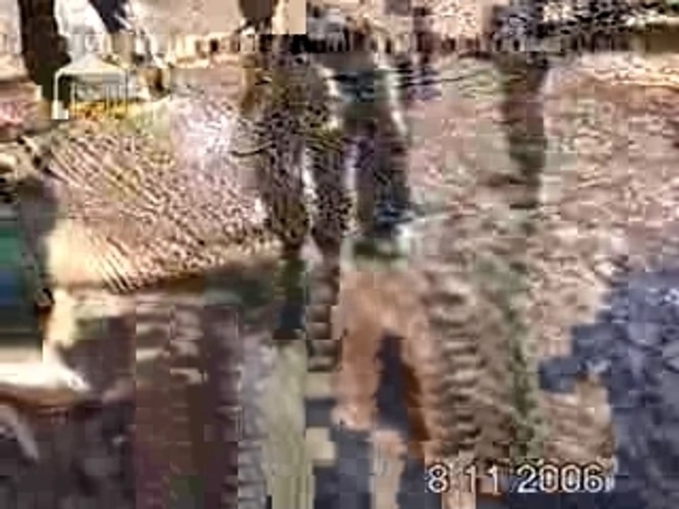 V2