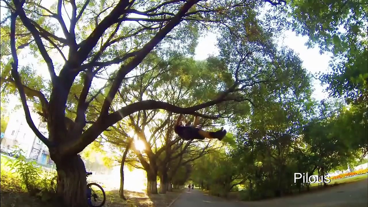 The Ultimate Calisthenics Motivation 2016
