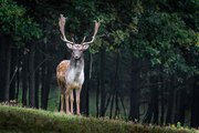 밤의전쟁 ≫ 구글검색 청주립카페 청주안마시술소