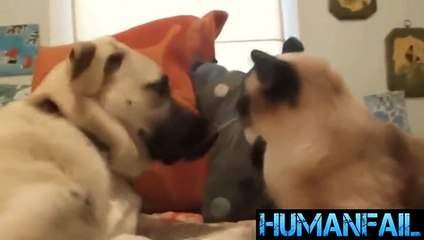 chad hatten chad hatten chad hatten chad hatten chad hatten chad hatten chad hatten chad hatten  SHADOW CREW