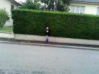 jackass amateur