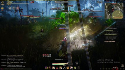 Black Desert Online Ranger Hidden Combos and Mana Management