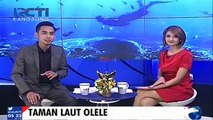 Taman Laut Olele, Surga Tersembunyi di Teluk Tomini