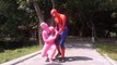 Venom Spiderman vs elsa No smoking in the public Pink Spidergirl fun superheroes in real life-fiktcC7GGcI Repost oto by oto 6