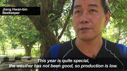 Taiwan beekeepers battle to cash in on pure honey buzz