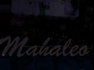 Mahaleo - Tsindry hazolena