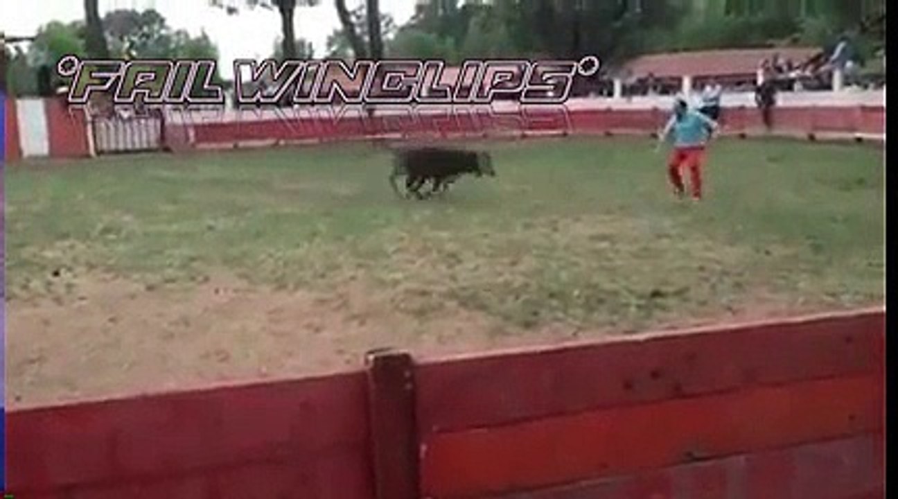 BULL! BULL! BULL!
