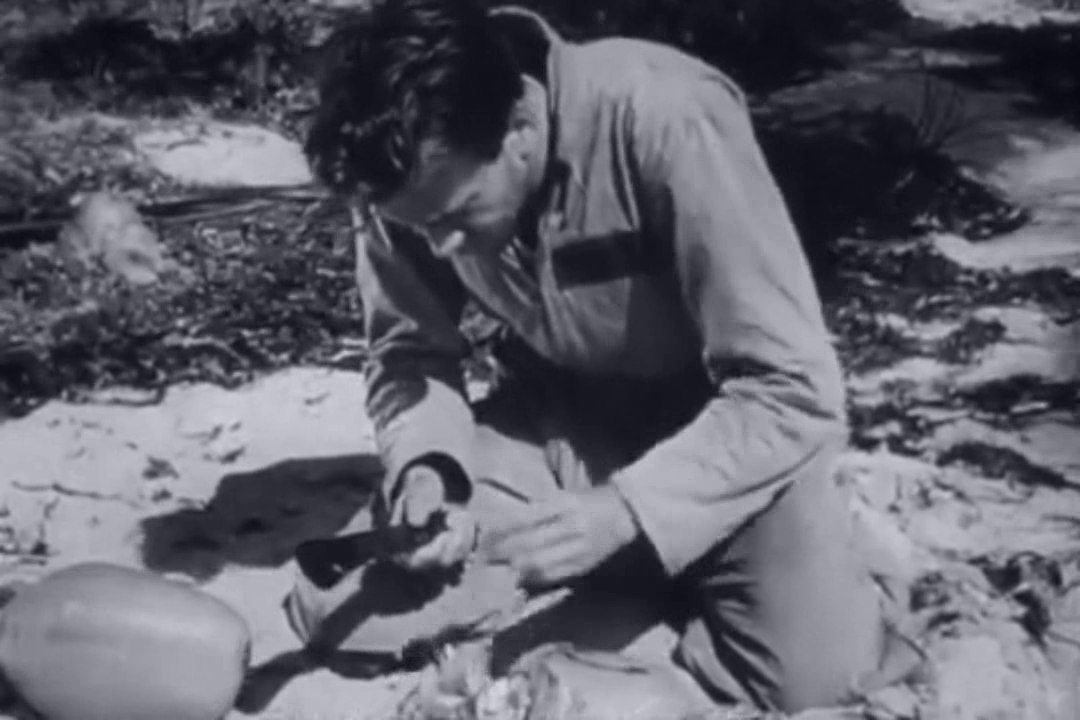 Castaway (1944)