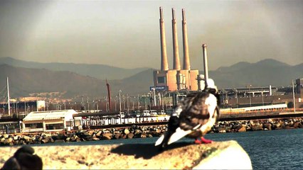 josep spot- un docuMental de mierda- SERIE DOC-(DMS=)